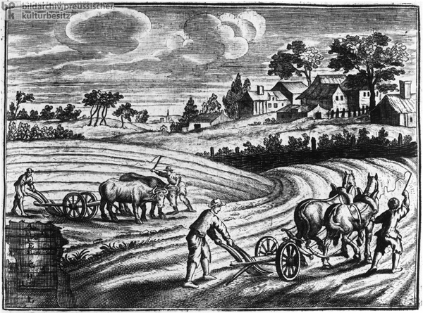 Pflüge mit Pferde- und Ochsengespann (1750)