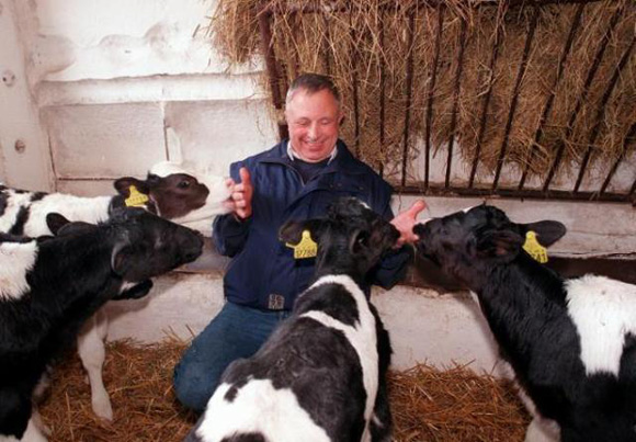 Raising Calves at a Fomer Collectivized Farm (April 7, 1997)