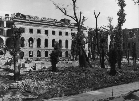 Trees amidst Debris (1945)