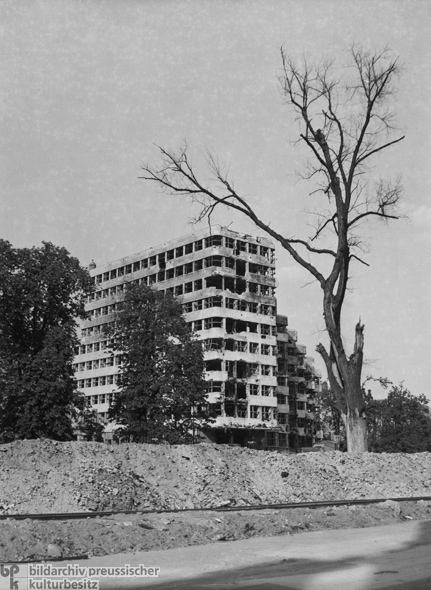Ruine des Shell-Hauses am Landwehrkanal (1946)