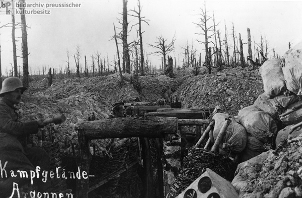 The Battlefield in the Argonne Forest (1916)